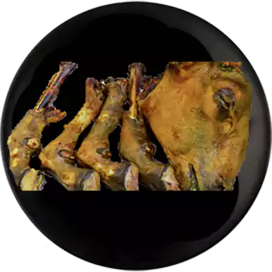 Head and legs set - Fresh Mutton